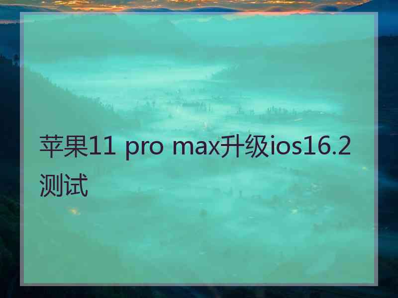 苹果11 pro max升级ios16.2测试