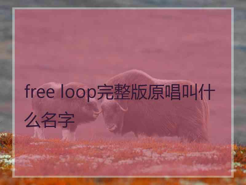 free loop完整版原唱叫什么名字