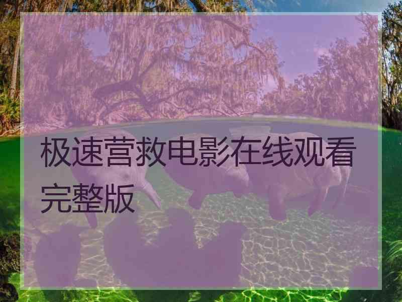 极速营救电影在线观看完整版