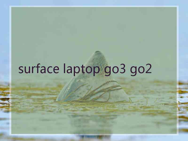 surface laptop go3 go2