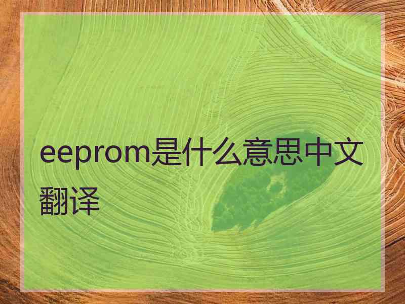 eeprom是什么意思中文翻译