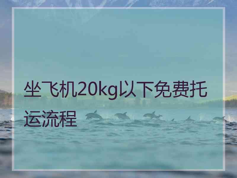 坐飞机20kg以下免费托运流程