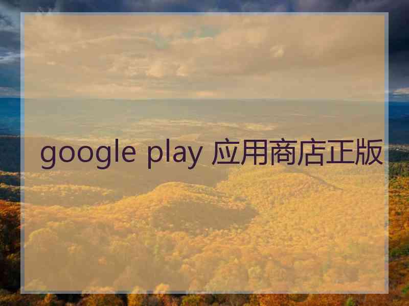 google play 应用商店正版