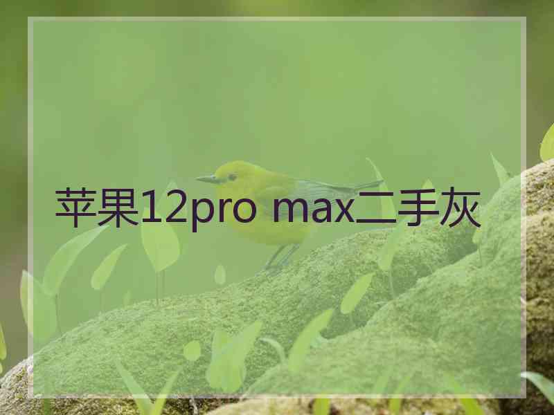 苹果12pro max二手灰