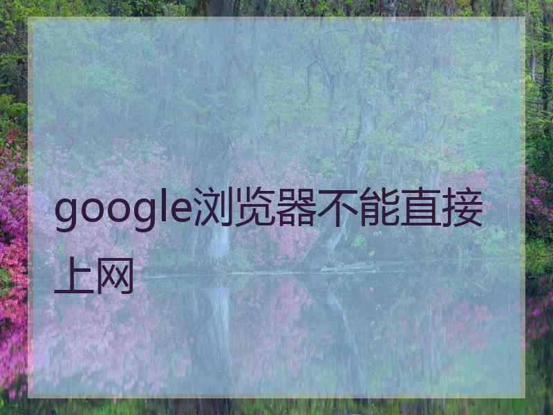 google浏览器不能直接上网