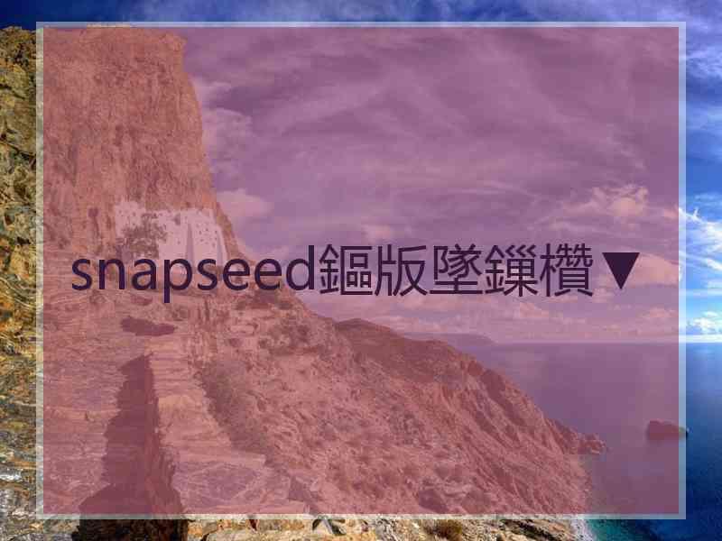 snapseed鏂版墜鏁欑▼