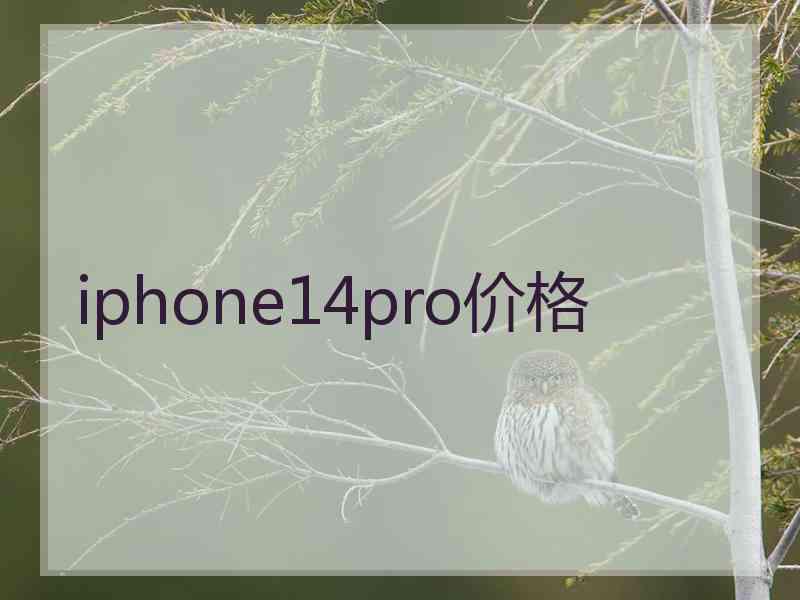 iphone14pro价格