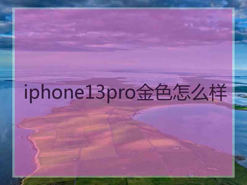 iphone13pro金色怎么样