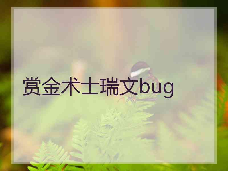 赏金术士瑞文bug