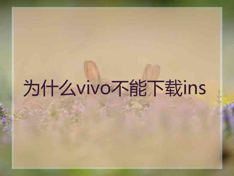 为什么vivo不能下载ins