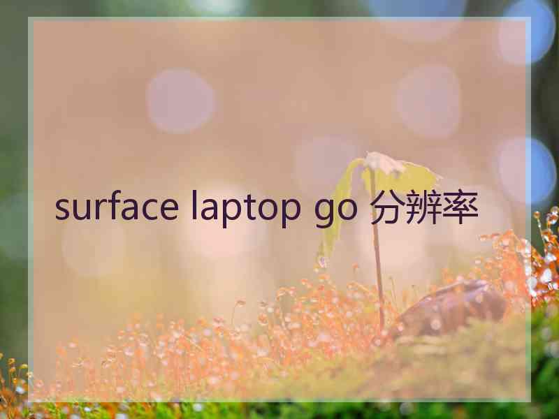 surface laptop go 分辨率