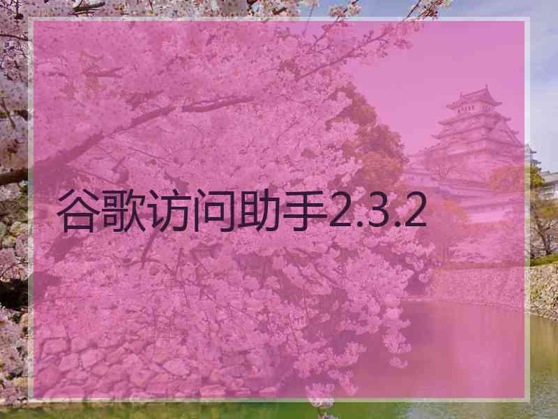 谷歌访问助手2.3.2