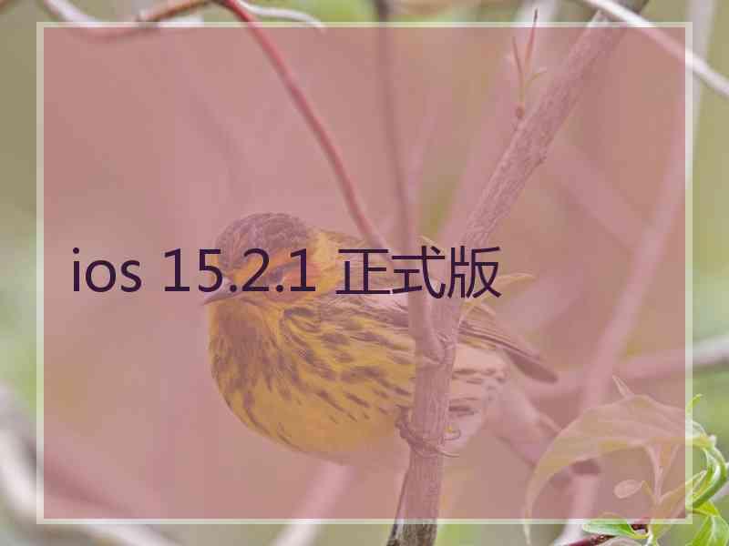 ios 15.2.1 正式版