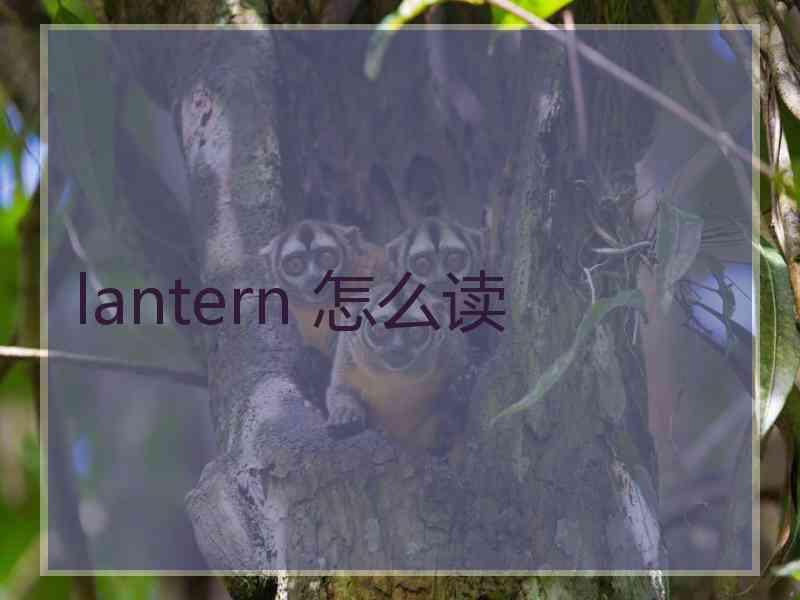 lantern 怎么读