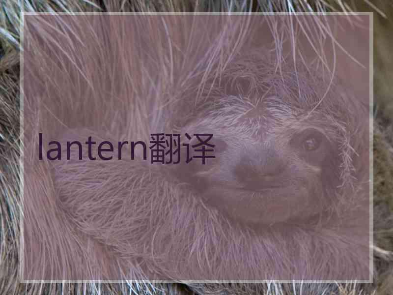 lantern翻译