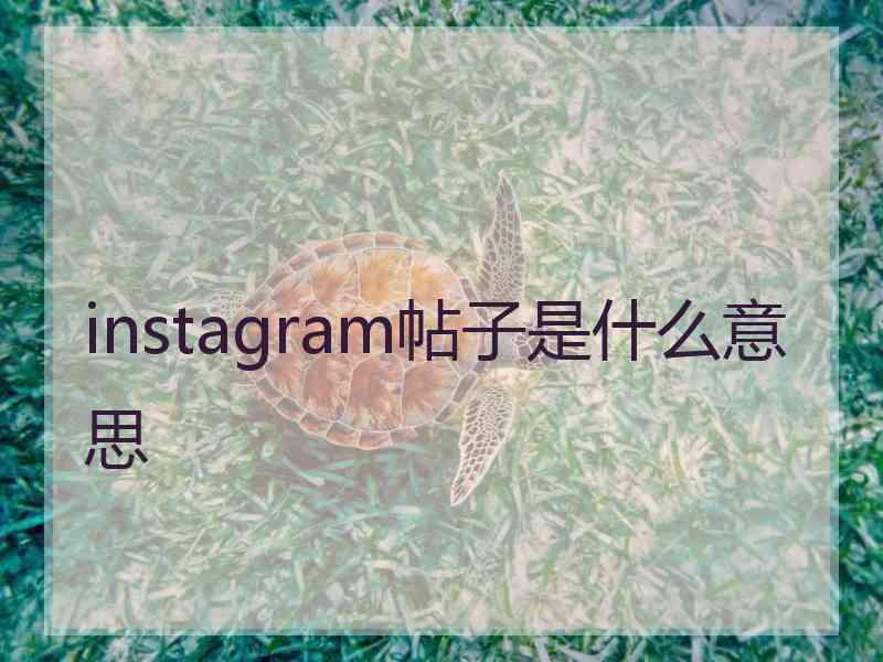 instagram帖子是什么意思