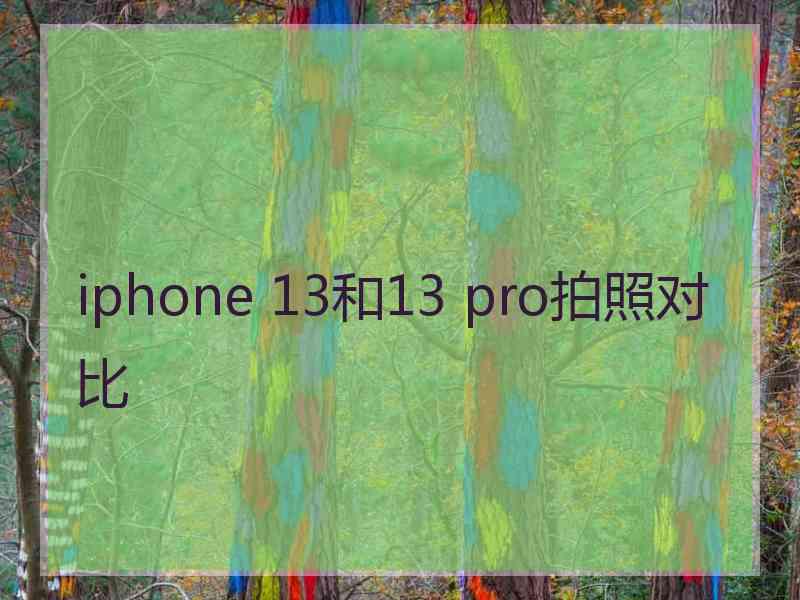 iphone 13和13 pro拍照对比