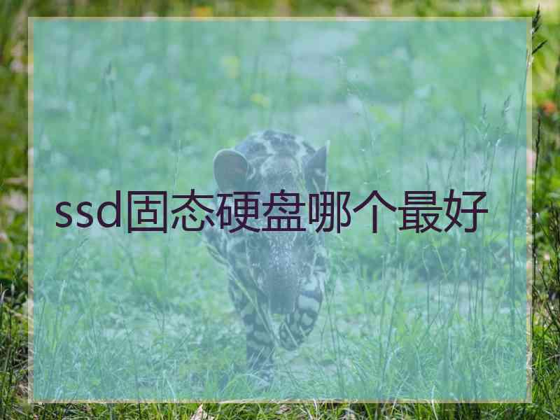 ssd固态硬盘哪个最好