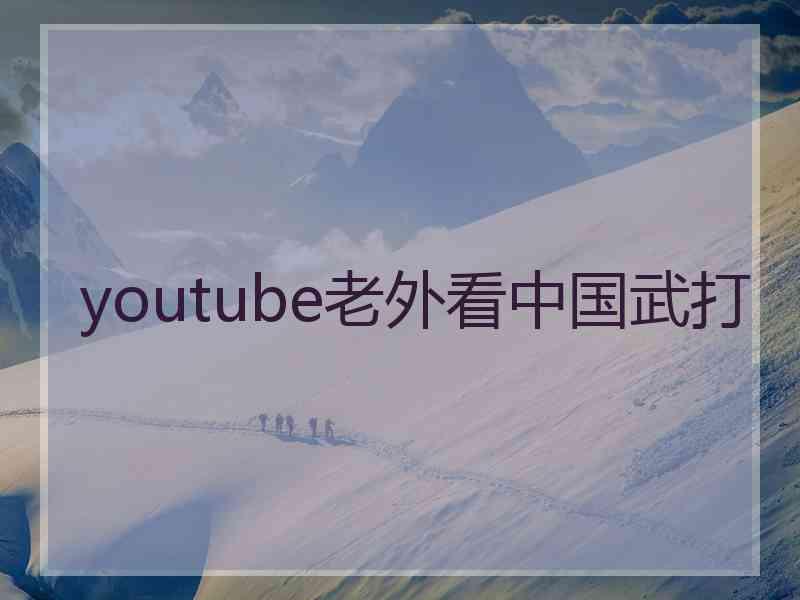 youtube老外看中国武打