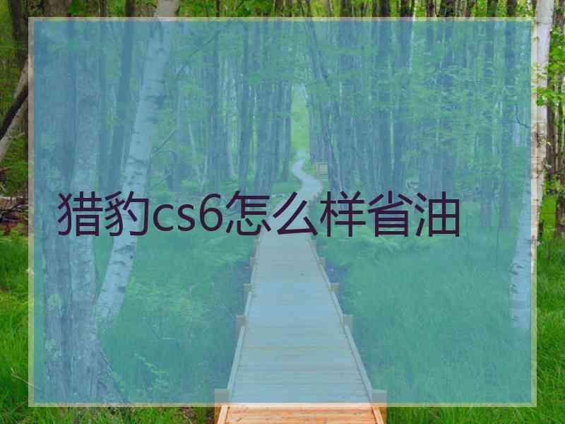 猎豹cs6怎么样省油