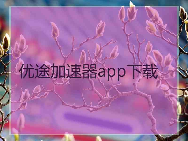 优途加速器app下载