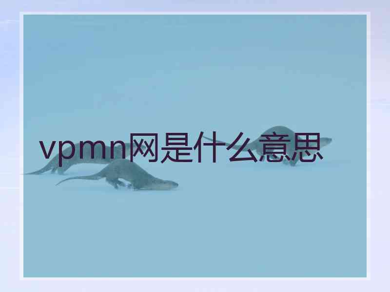 vpmn网是什么意思