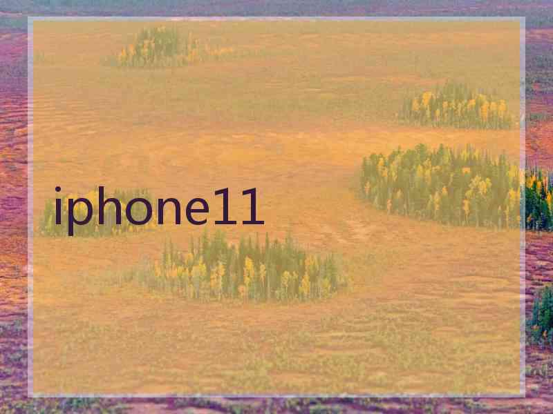 iphone11