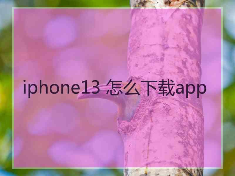 iphone13 怎么下载app