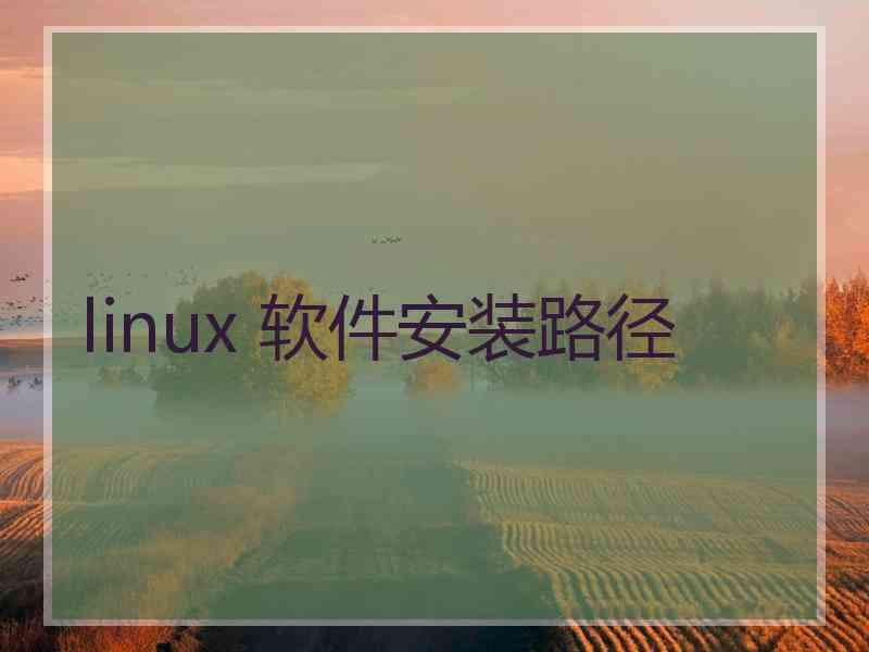 linux 软件安装路径