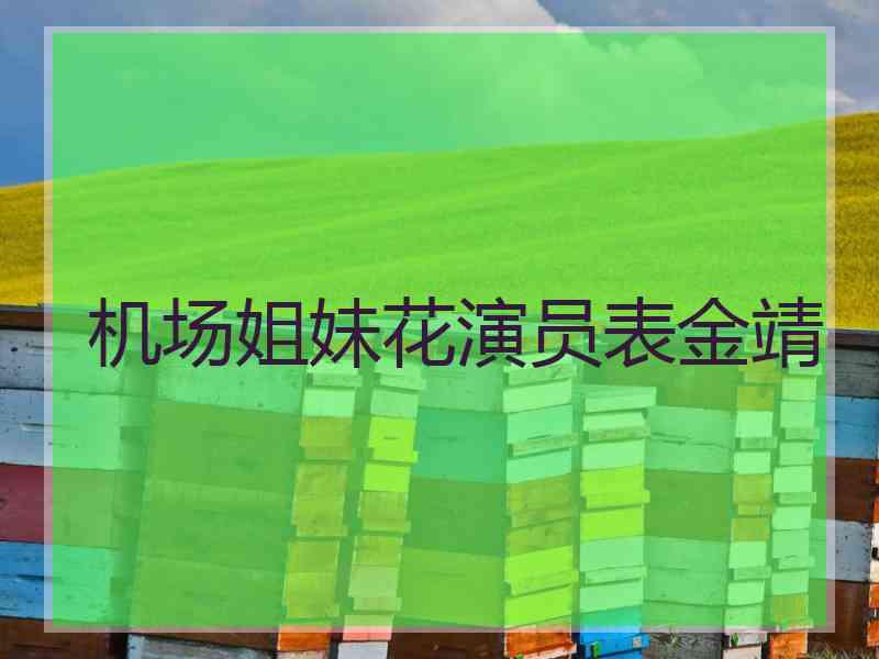 机场姐妹花演员表金靖