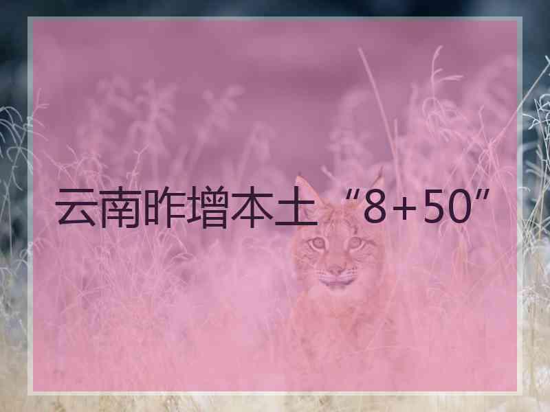 云南昨增本土“8+50”