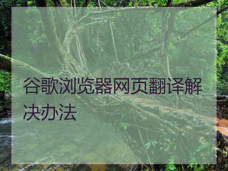 谷歌浏览器网页翻译解决办法