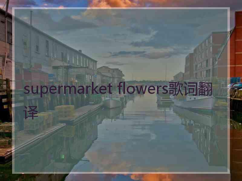 supermarket flowers歌词翻译