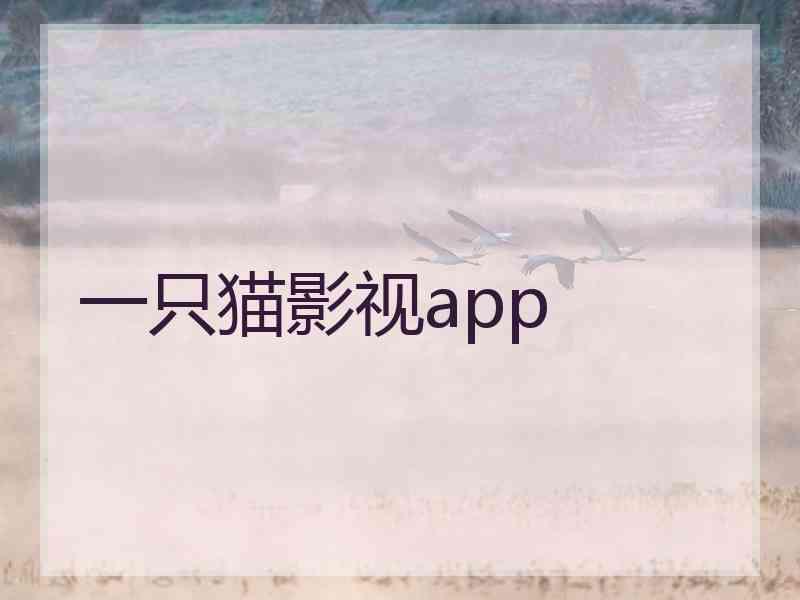 一只猫影视app