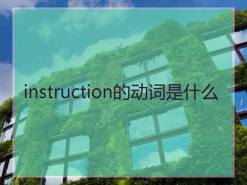 instruction的动词是什么