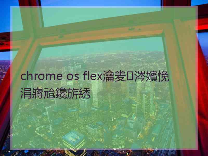 chrome os flex瀹夎涔嬪悗涓嶈兘鑱旂綉