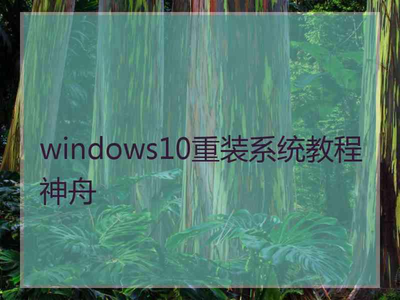 windows10重装系统教程神舟