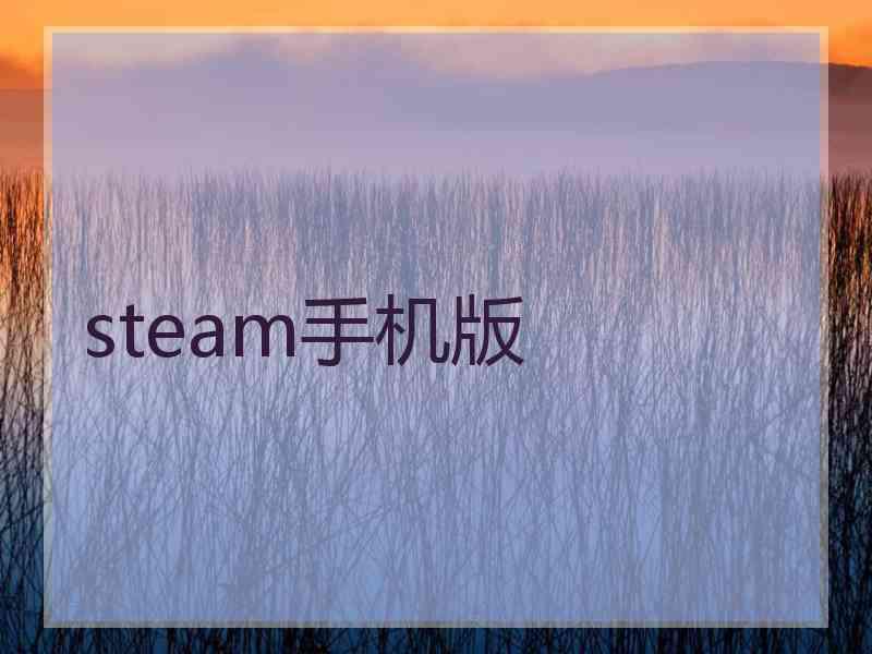 steam手机版