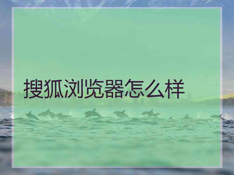 搜狐浏览器怎么样