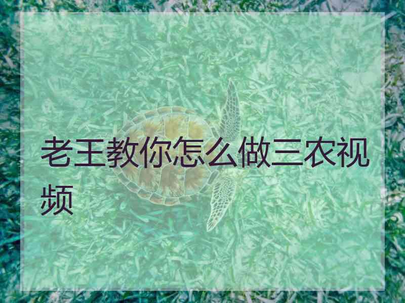 老王教你怎么做三农视频