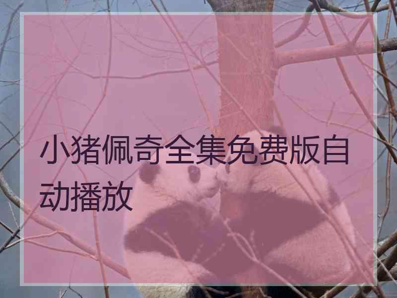 小猪佩奇全集免费版自动播放