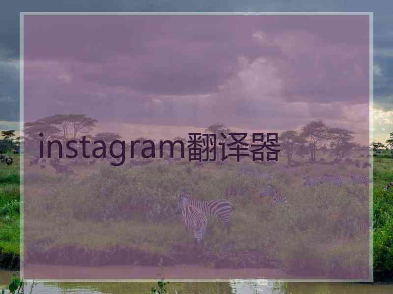 instagram翻译器