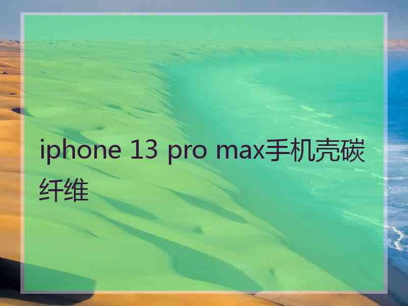 iphone 13 pro max手机壳碳纤维