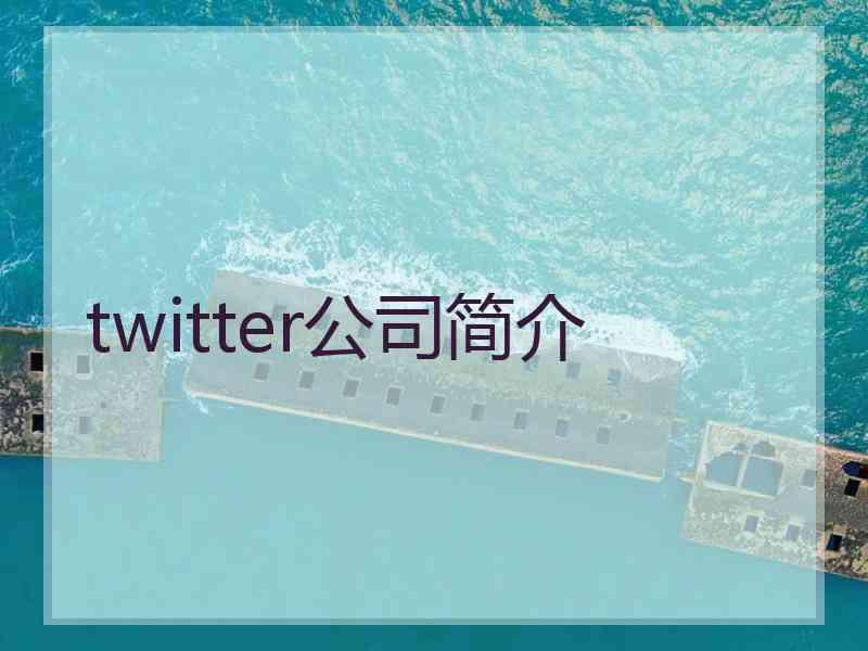 twitter公司简介