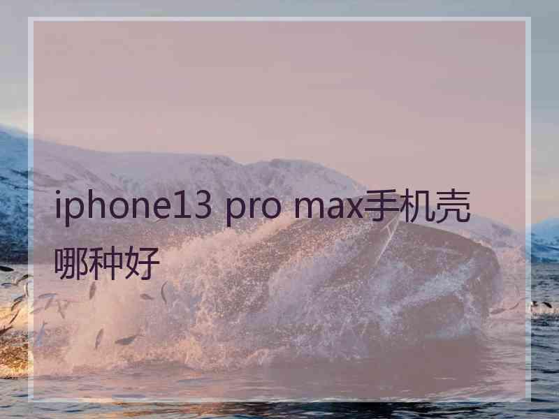 iphone13 pro max手机壳哪种好