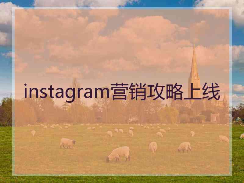 instagram营销攻略上线