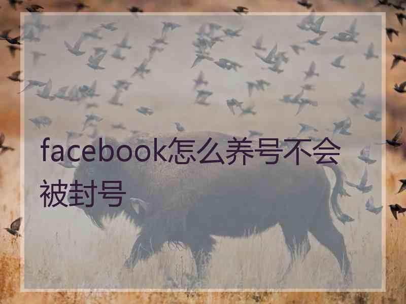 facebook怎么养号不会被封号