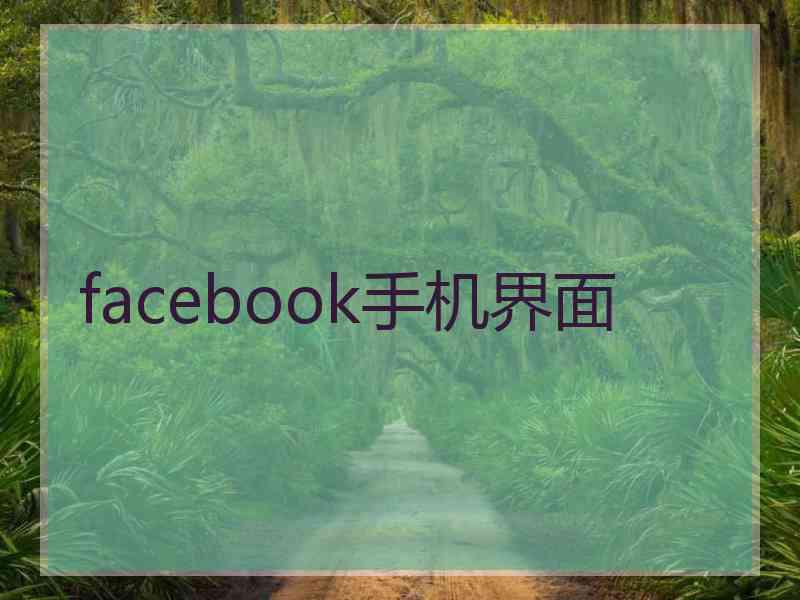 facebook手机界面