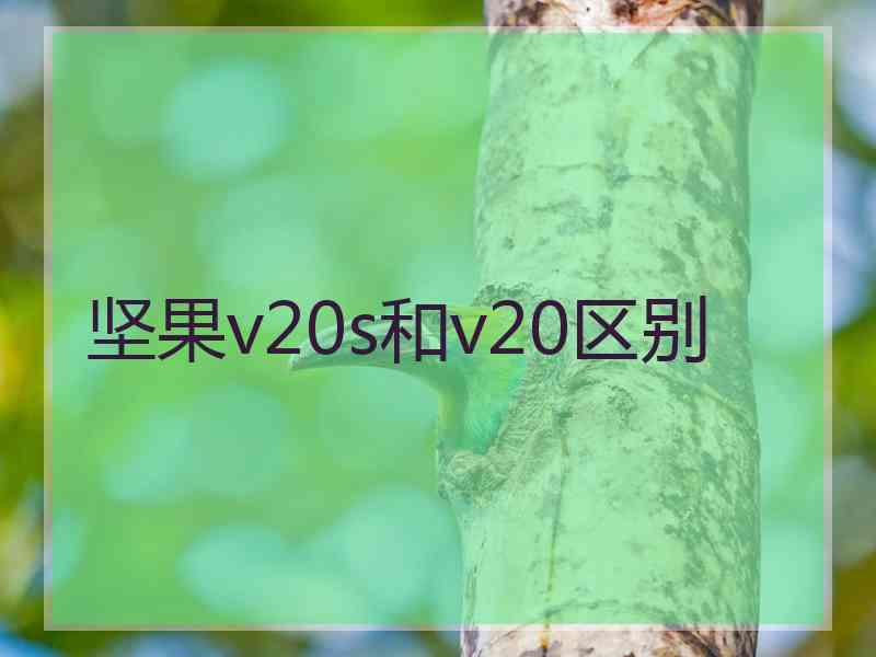 坚果v20s和v20区别