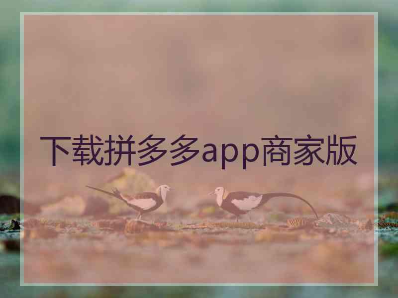 下载拼多多app商家版